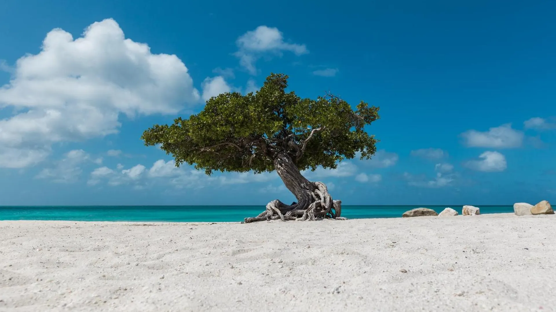Aruba Dreams, Take Me Away Studio Oranjestad Apartment