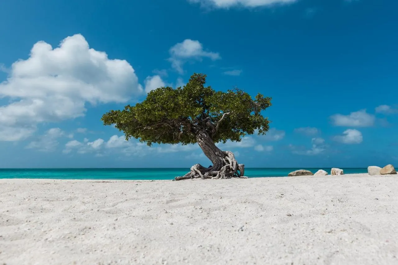 Apartment Aruba Dreams, Take Me Away Studio Oranjestad