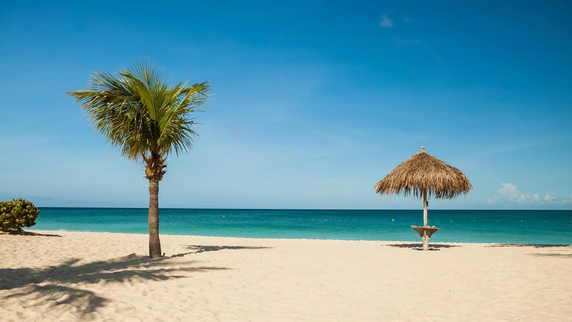 Aruba Dreams, Take Me Away Studio Oranjestad