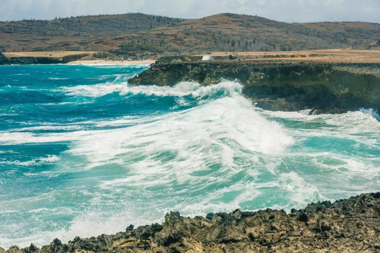 Aruba Dreams, Take Me Away Studio اورانجستاد 0*,  أروبا