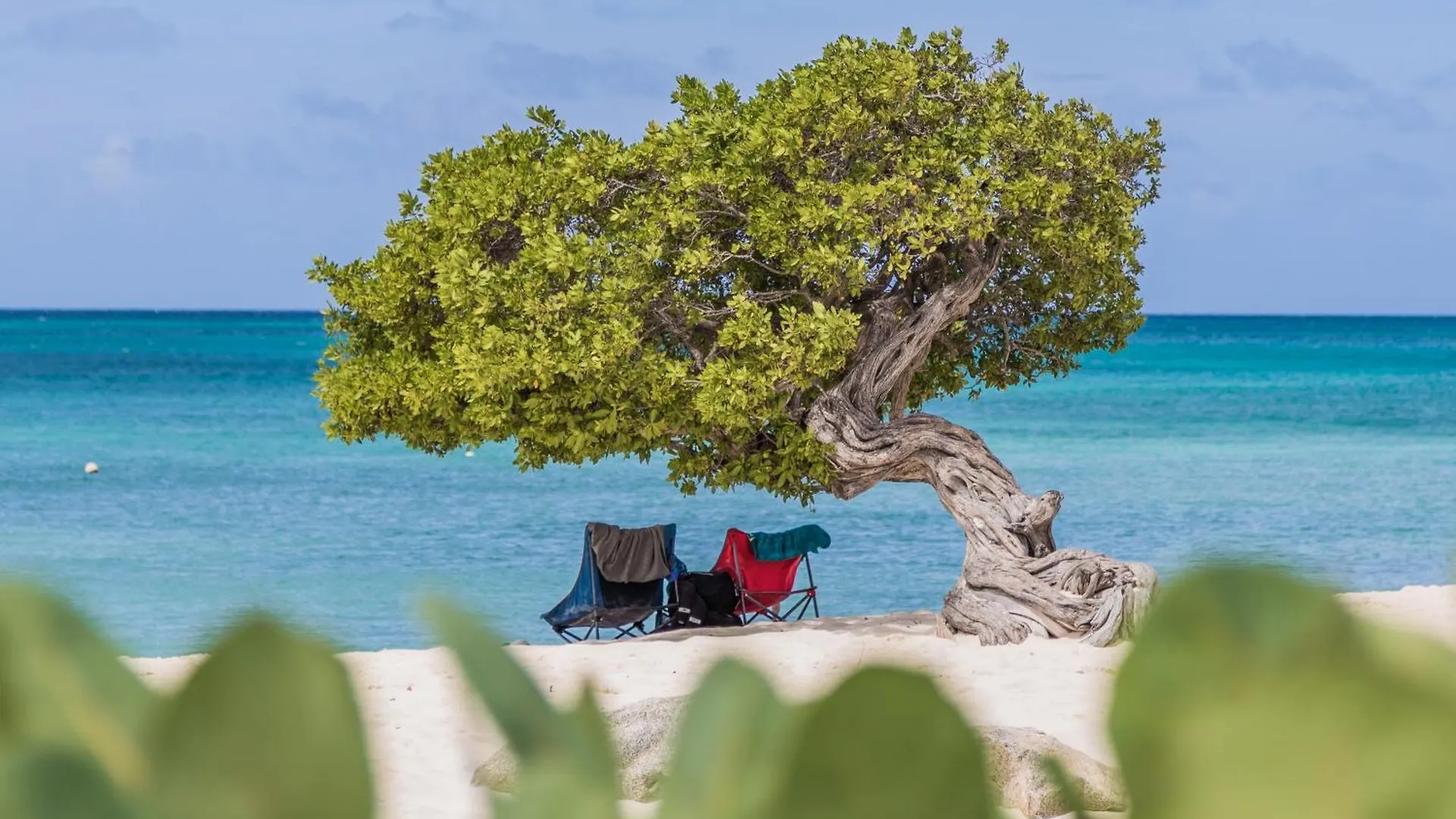Aruba Dreams, Take Me Away Studio اورانجستاد 0*,